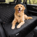 🐶 Top 5 4Knines Car Accessories Every Dog Owner Needs